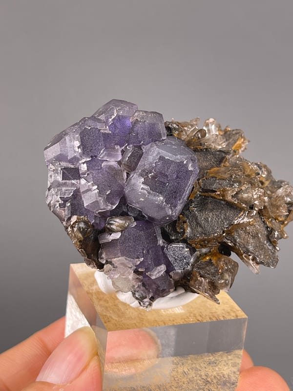 Pale Purple Fluorite specimen presenting pale-purple cubes on brown blades clearly