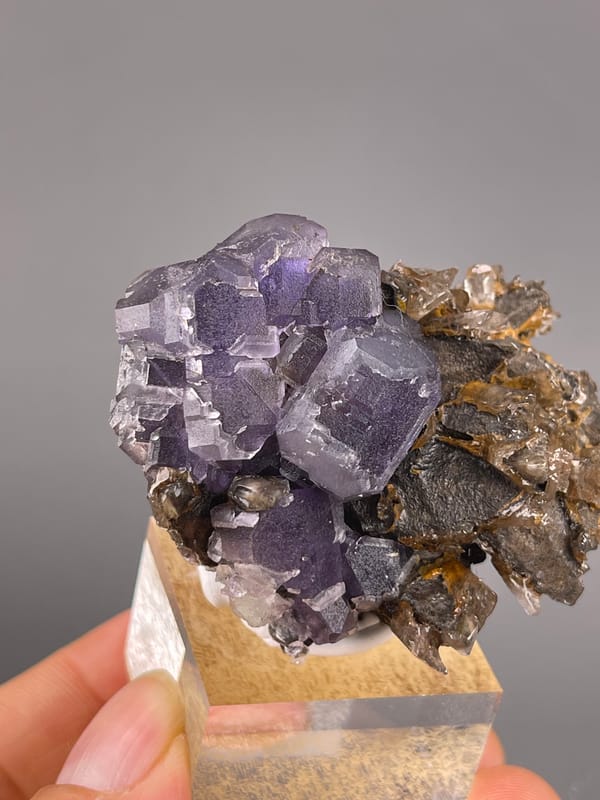 Pale-purple cubes on brown blades clearly visible on this pale purple fluorite specimen