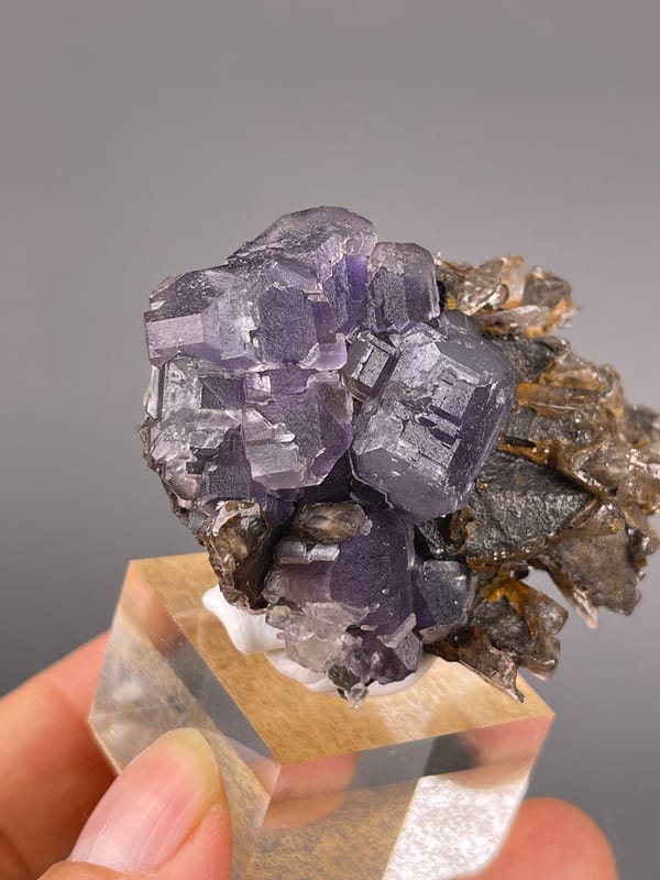 Pale Purple Fluorite specimen displaying pale-purple cubes on brown blades prominently