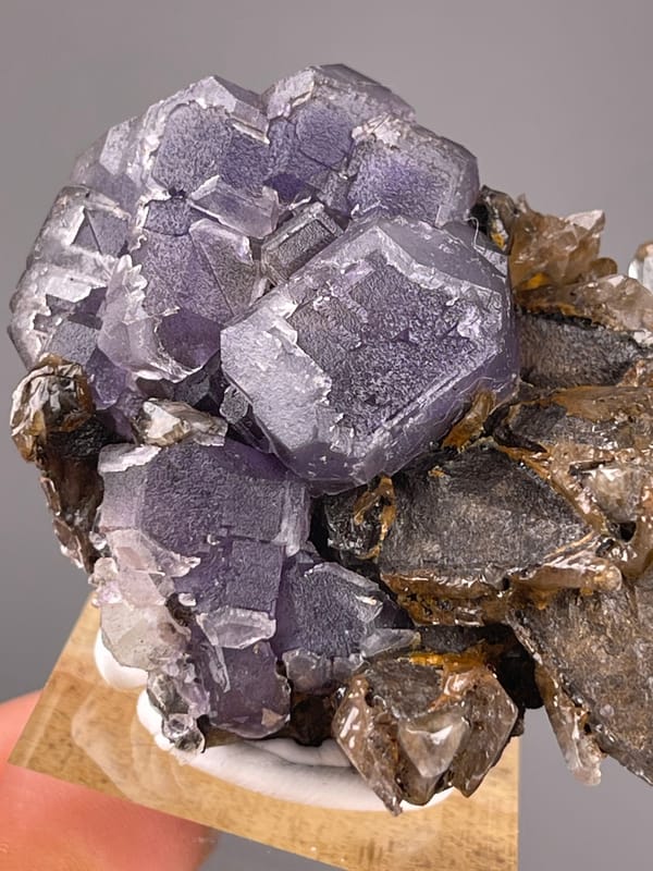 Pale-purple cubes on brown blades seen across this pale purple fluorite specimen