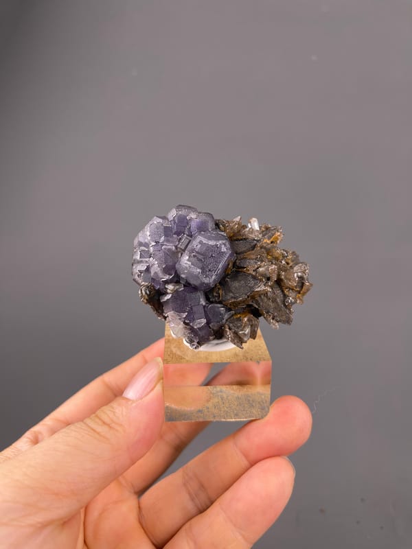 Pale Purple Fluorite natural specimen highlighting pale-purple cubes on brown blades clearly