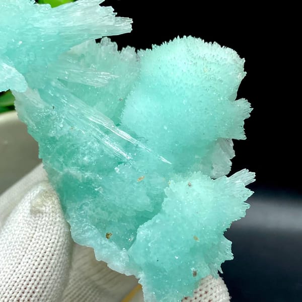 Pale turquoise radiating aragonite with botryoidal cap from Yunnan, China, view 6 of 9