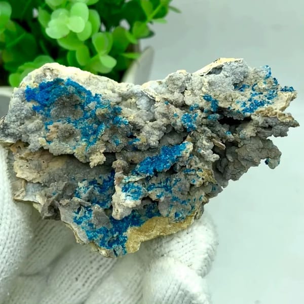 Blue veszelyite crystals scattered over grey matrix from Yunnan, China