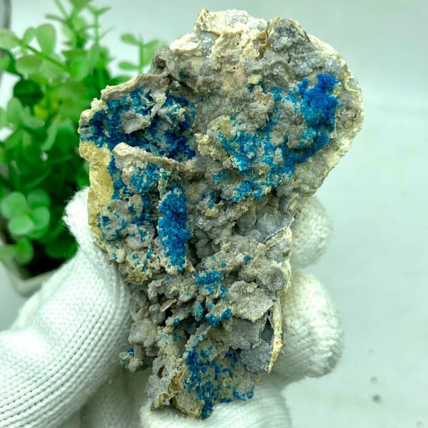 Blue veszelyite crystals scattered over grey matrix from Yunnan, China, view 3 of 9
