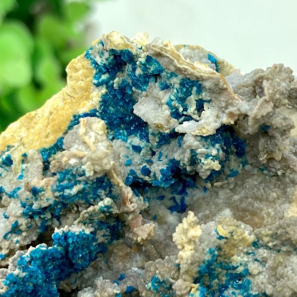 Blue veszelyite crystals scattered over grey matrix from Yunnan, China, view 4 of 9