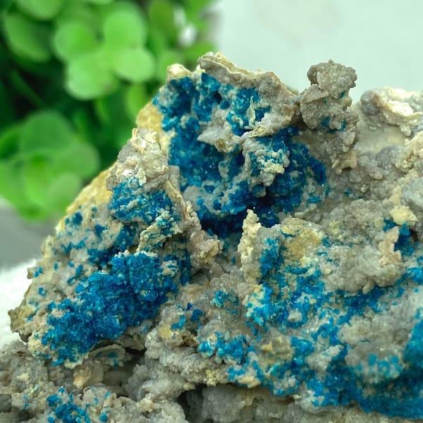 Blue veszelyite crystals scattered over grey matrix from Yunnan, China, view 6 of 9