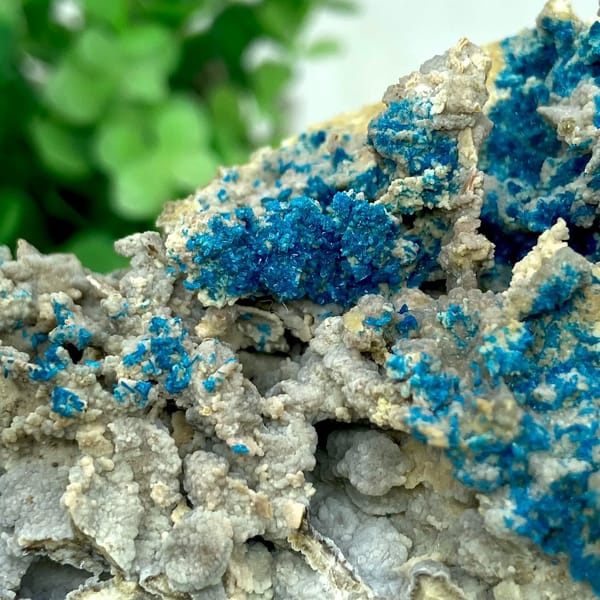 Blue veszelyite crystals scattered over grey matrix from Yunnan, China, view 7 of 9