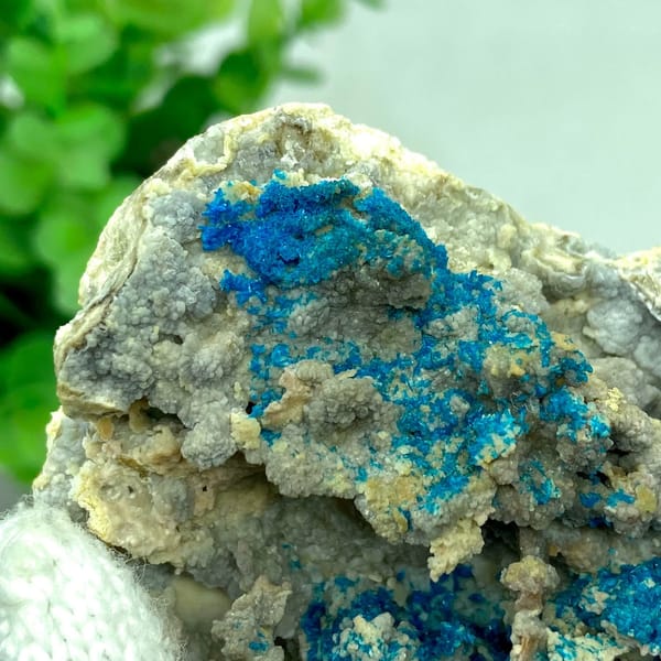 Blue veszelyite crystals scattered over grey matrix from Yunnan, China, view 8 of 9