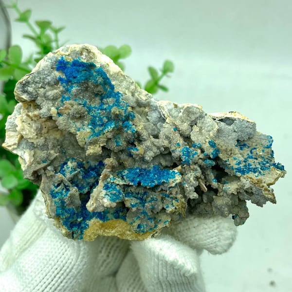 Blue veszelyite crystals scattered over grey matrix from Yunnan, China, view 9 of 9