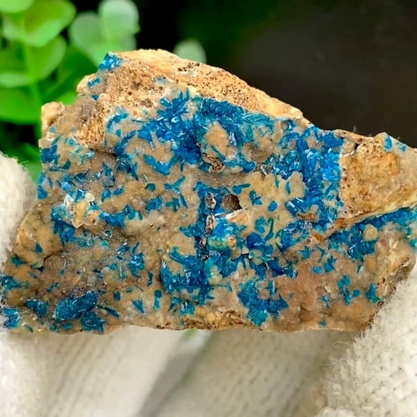 Blue veszelyite crystals spread across tan plate from Yunnan, China