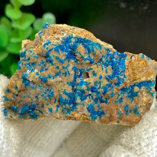 Blue veszelyite crystals spread across tan plate from Yunnan, China, view 2 of 9