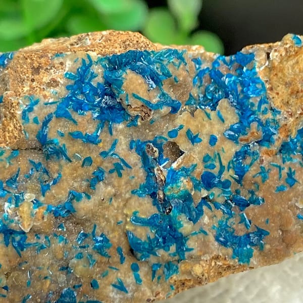 Blue veszelyite crystals spread across tan plate from Yunnan, China, view 5 of 9
