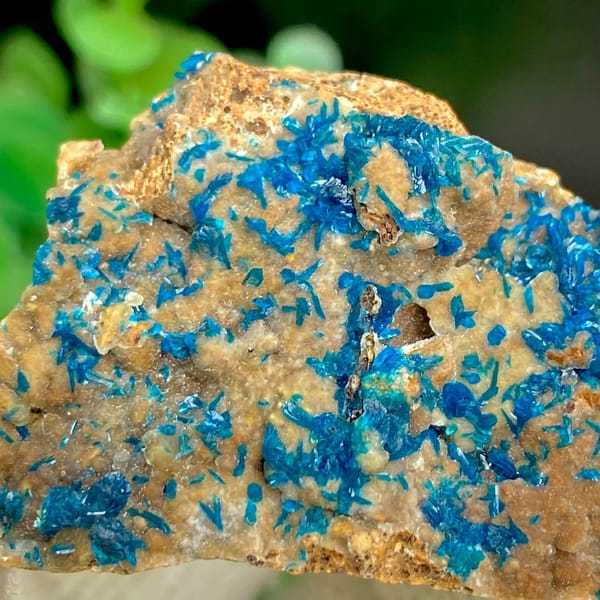 Blue veszelyite crystals spread across tan plate from Yunnan, China, view 8 of 9