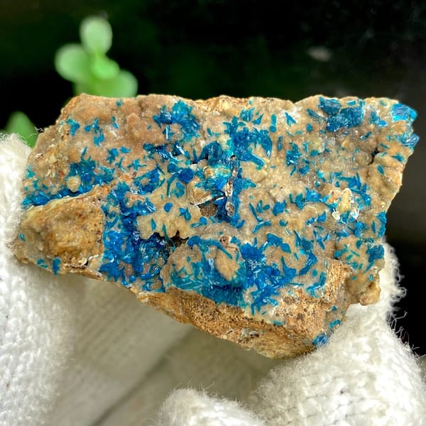 Blue veszelyite crystals spread across tan plate from Yunnan, China, view 9 of 9