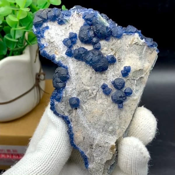 Navy-blue strawberry quartz balls and blue fluorite on pale plate from Inner Mongolia, China