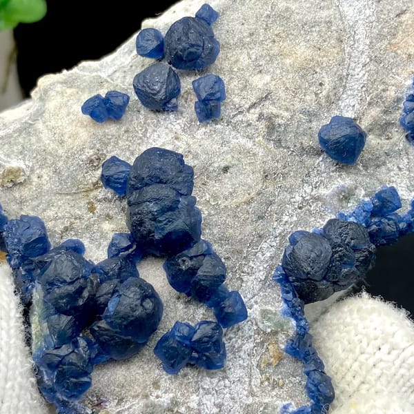 Navy-blue strawberry quartz balls and blue fluorite on pale plate from Inner Mongolia, China, view 5 of 9