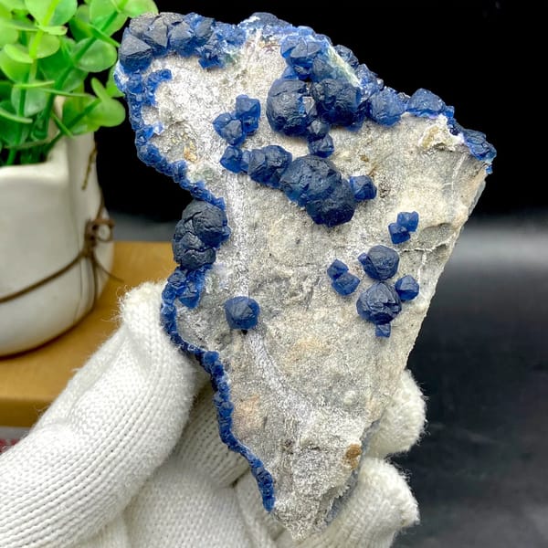 Navy-blue strawberry quartz balls and blue fluorite on pale plate from Inner Mongolia, China, view 9 of 9