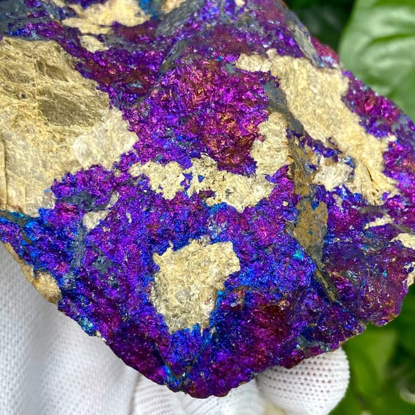 Slab of iridescent purple-and-blue bornite from Yunnan, China, view 5 of 9