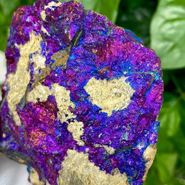 Slab of iridescent purple-and-blue bornite from Yunnan, China, view 6 of 9