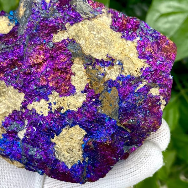 Slab of iridescent purple-and-blue bornite from Yunnan, China, view 7 of 9