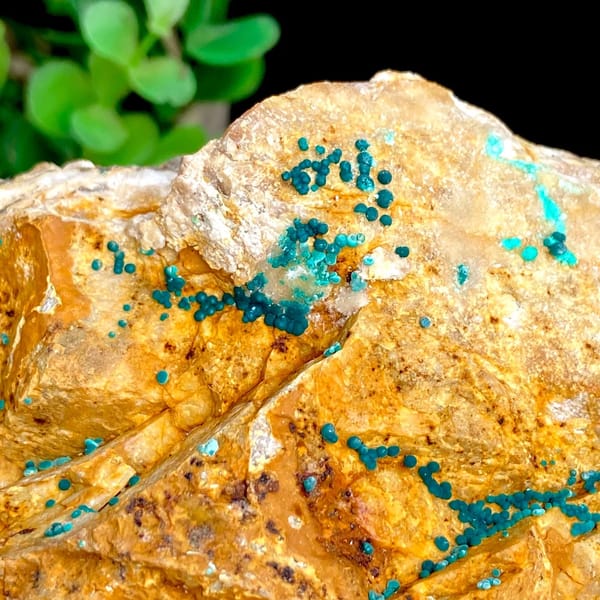 Orange block with green botryoidal malachite and blue copper spots from Yunnan, China, view 7 of 9