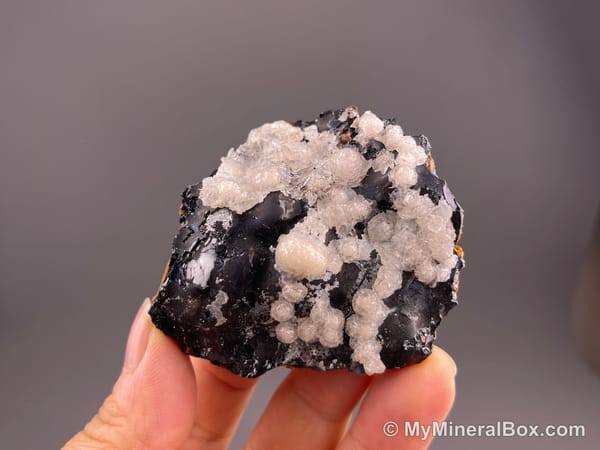 Calcite on Black Matrix — Locality Unconfirmed