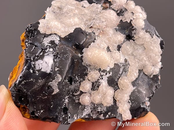 Calcite on Black Matrix — Locality Unconfirmed — view 2