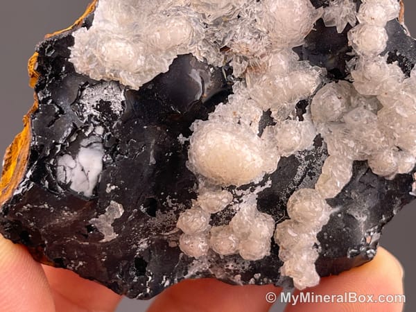 Calcite on Black Matrix — Locality Unconfirmed — view 3