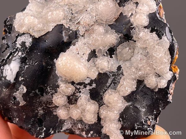 Calcite on Black Matrix — Locality Unconfirmed — view 4