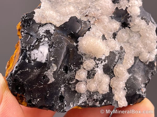 Calcite on Black Matrix — Locality Unconfirmed — view 5