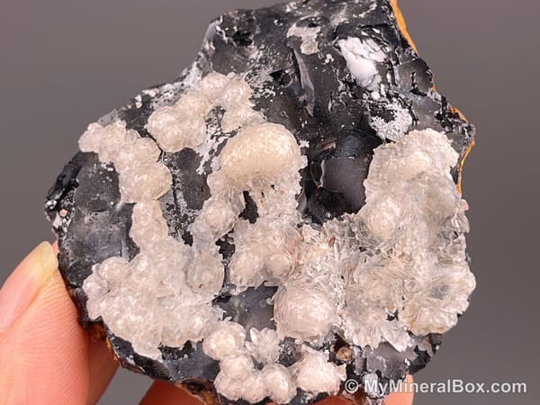 Calcite on Black Matrix — Locality Unconfirmed — view 6