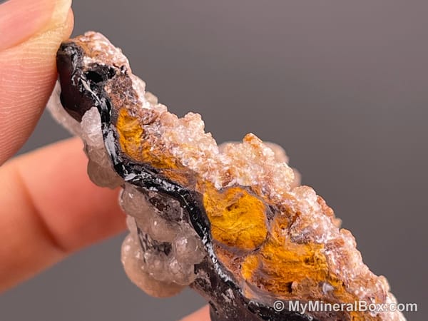 Calcite on Black Matrix — Locality Unconfirmed — view 8