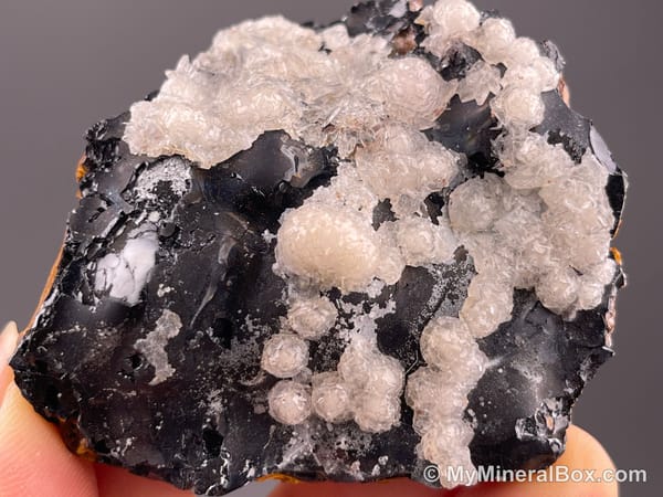 Calcite on Black Matrix — Locality Unconfirmed — view 9