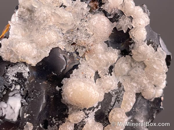 Calcite on Black Matrix — Locality Unconfirmed — view 10