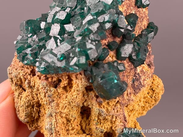 Chrysocolla with Malachite — DR Congo — view 3