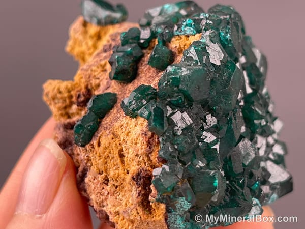 Chrysocolla with Malachite — DR Congo — view 5