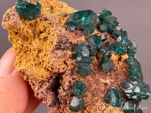 Chrysocolla with Malachite — DR Congo — view 6