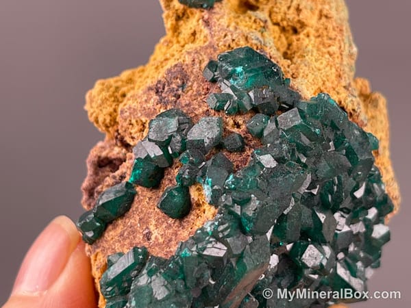 Chrysocolla with Malachite — DR Congo — view 7