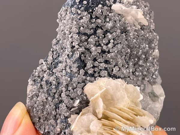 Flower-like Calcite with Quartz — Inner Mongolia, China — view 2