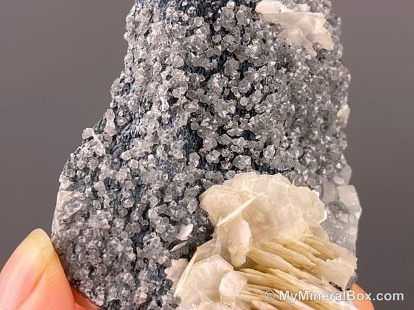 Flower-like Calcite with Quartz — Inner Mongolia, China — view 3