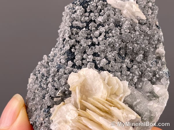 Flower-like Calcite with Quartz — Inner Mongolia, China — view 4