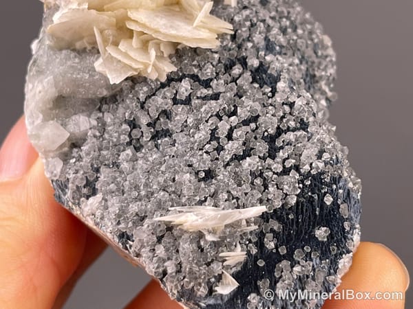 Flower-like Calcite with Quartz — Inner Mongolia, China — view 5