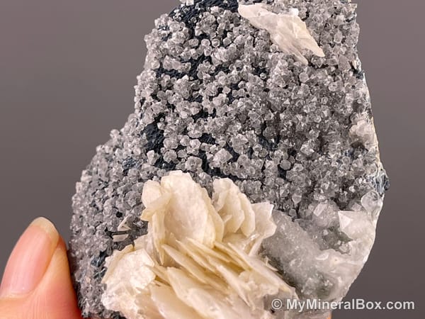 Flower-like Calcite with Quartz — Inner Mongolia, China — view 7