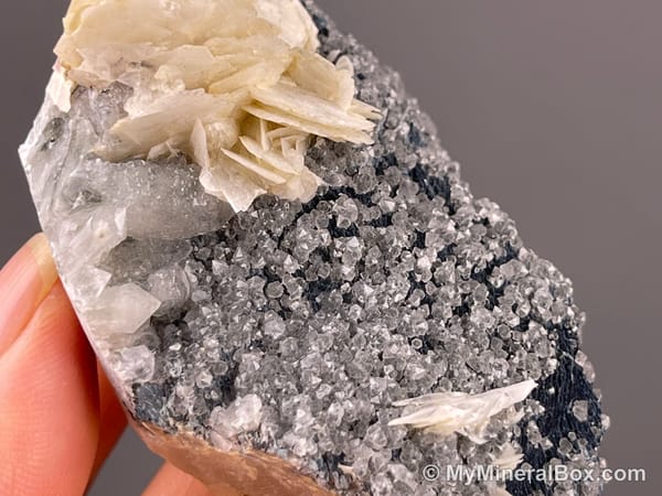 Flower-like Calcite with Quartz — Inner Mongolia, China — view 8