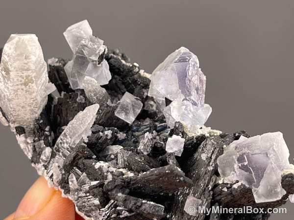 Fluorite with Wolframite Group, Possible Cassiterite & Chalcopyrite — Yaogangxian Mine, Hunan, China — view 4