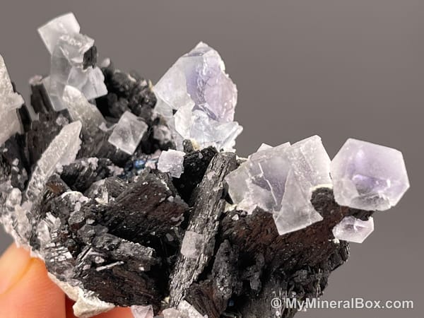 Fluorite with Wolframite Group, Possible Cassiterite & Chalcopyrite — Yaogangxian Mine, Hunan, China — view 5