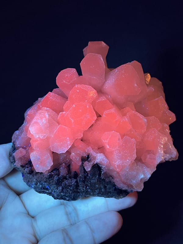 Calcite from Fujian, China: pink-orange fluorescence across the crystal cluster.