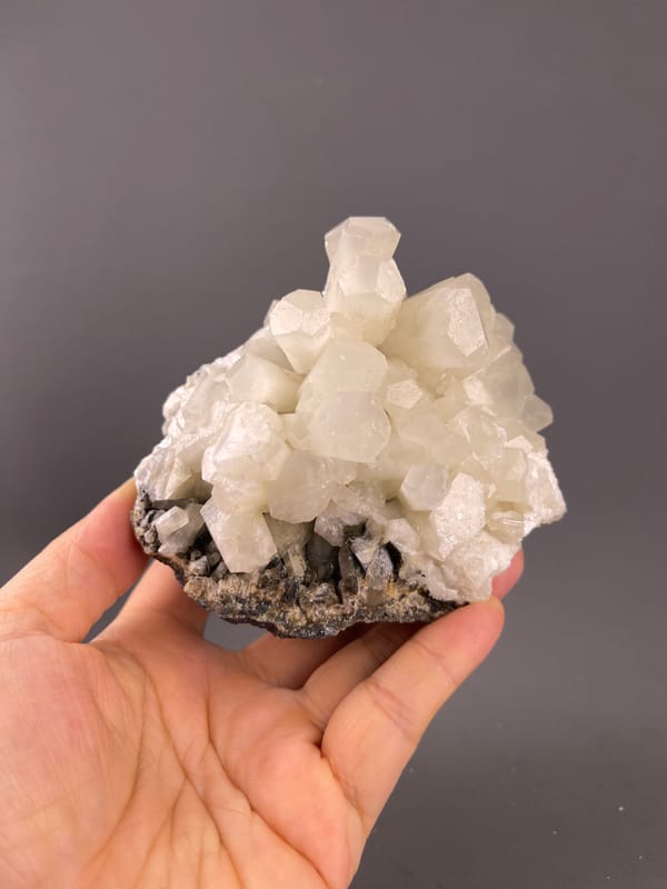 Calcite from Fujian, China: whole white columnar calcite cluster on dark matrix.