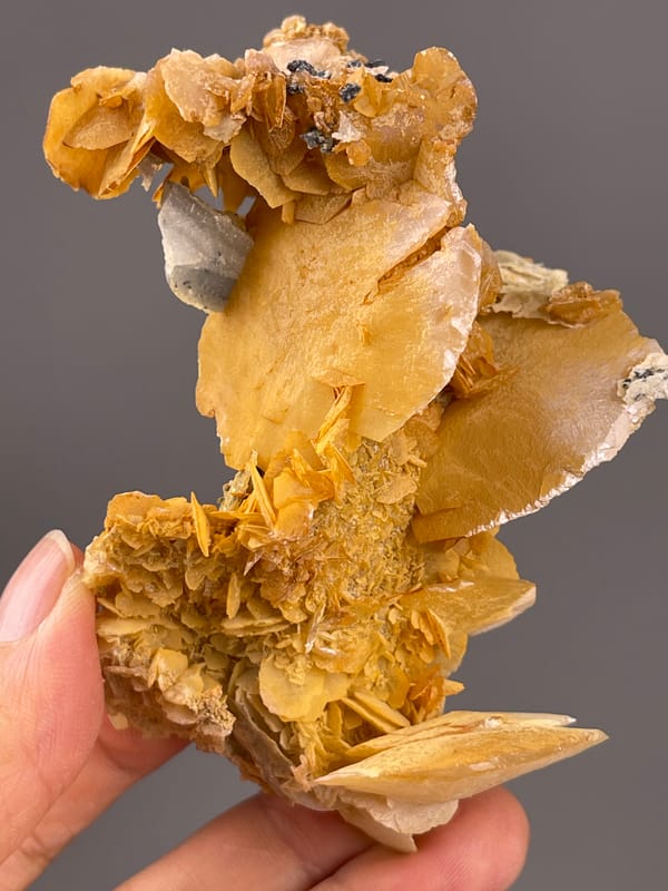 Calcite from Guangdong, China: upright profile with thin projecting plates.