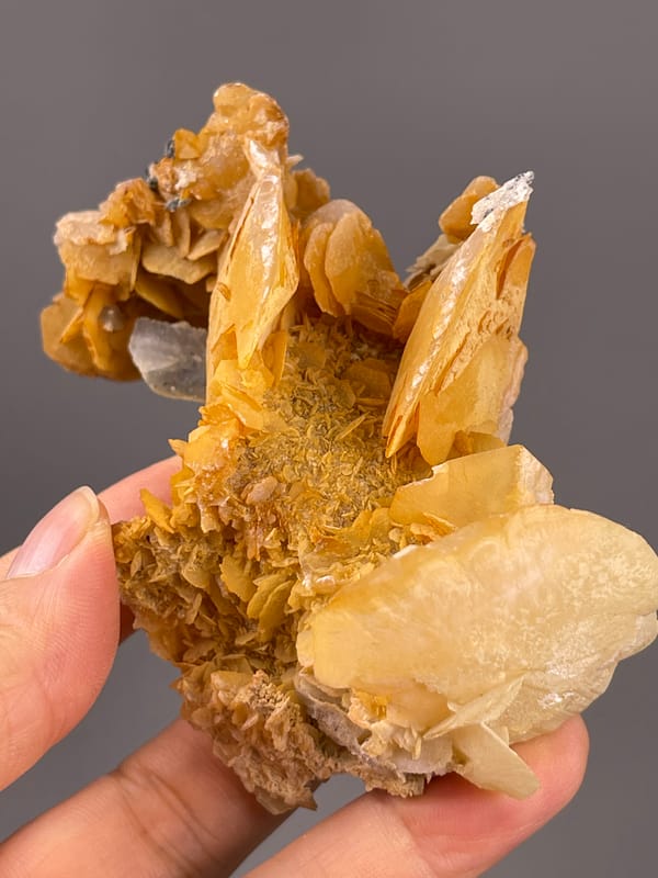Calcite from Guangdong, China: angled view across the open bladed cluster.
